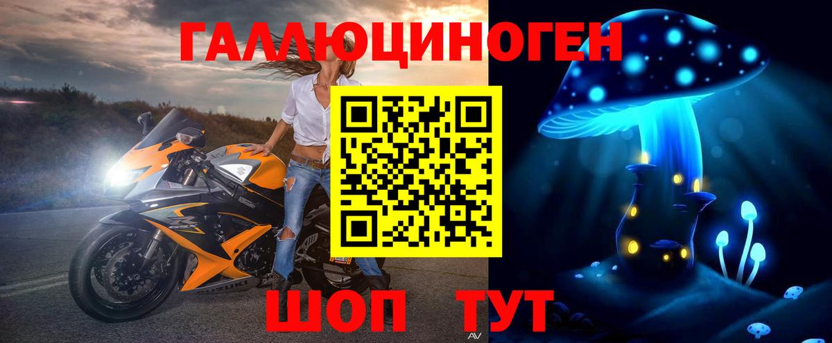 Оренбург  Галлюциногенные грибы прущие грибы  Вход с VPN 