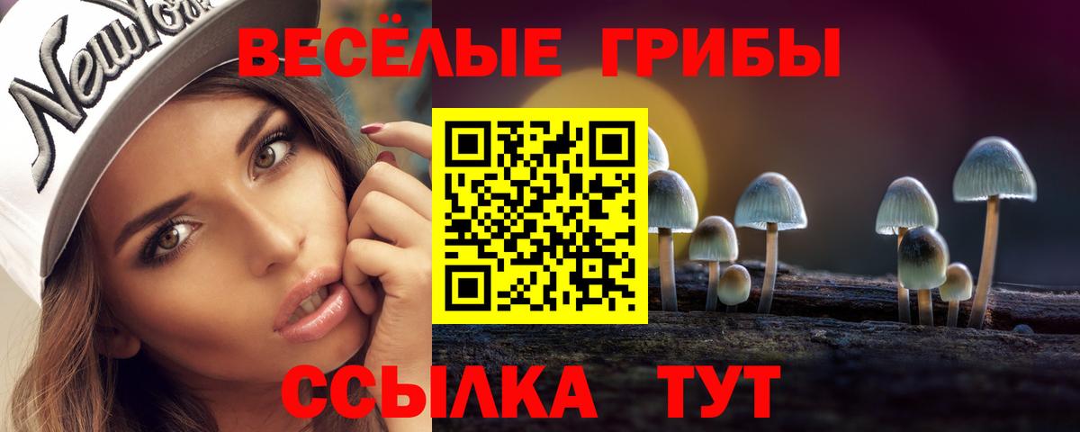 Псилоцибиновые грибы ЛСД Оренбург